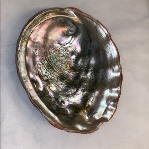 Giant shell catch all tray- iridescent inside